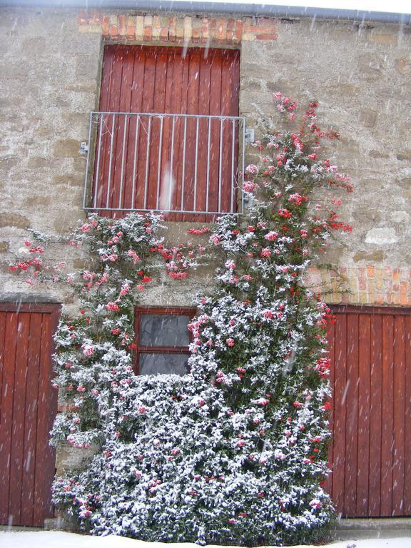 Ballyhargan Farm House Dungiven Экстерьер фото