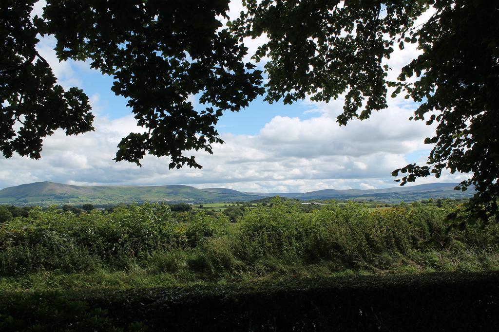 Ballyhargan Farm House Dungiven Экстерьер фото